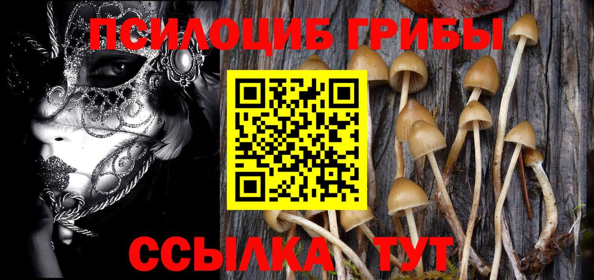 Псилоцибиновые грибы Cubensis Великий Устюг