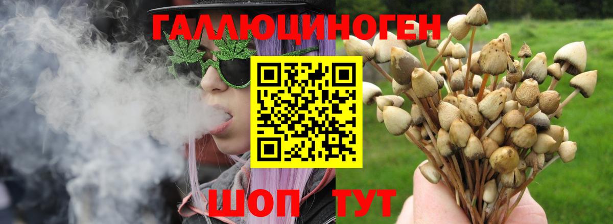 Галлюциногенные грибы GOLDEN TEACHER  где купить наркоту  Великий Устюг  Вход с VPN  Галлюциногенные грибы прущие грибы 